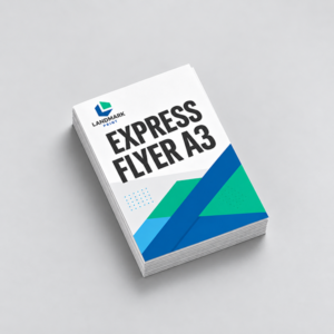 Express Flyer A3